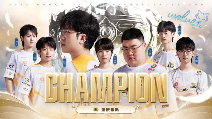 大胆选择的