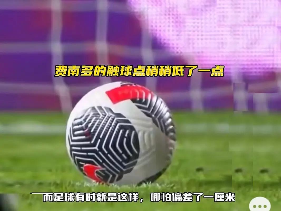 安赛龙